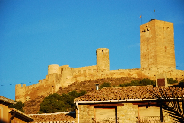 PacoTortosa