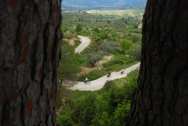 PacoTortosa